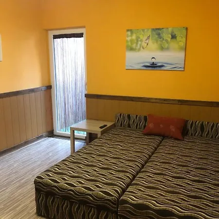 Vakacio Ifjusagi Udulo